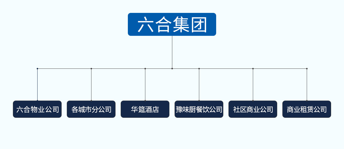 六合集团组织架构.jpg