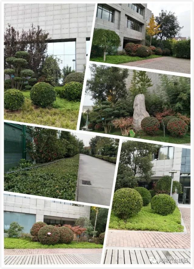 微信图片_20180529084547.jpg