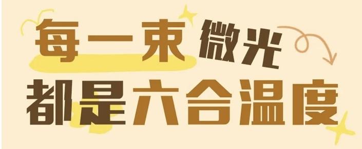 六合服务丨一条金项链的“归家”路